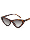 <tc>Oculos Melissa castanhos</tc>